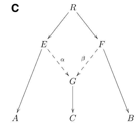 F3-phylogeny