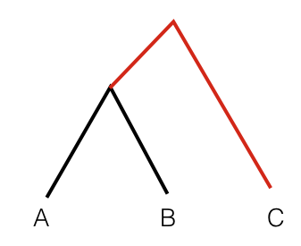 Outgroup-F3-phylogeny